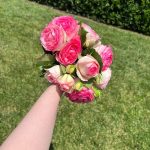 Kat Dennings Instagram - just call me petal paws