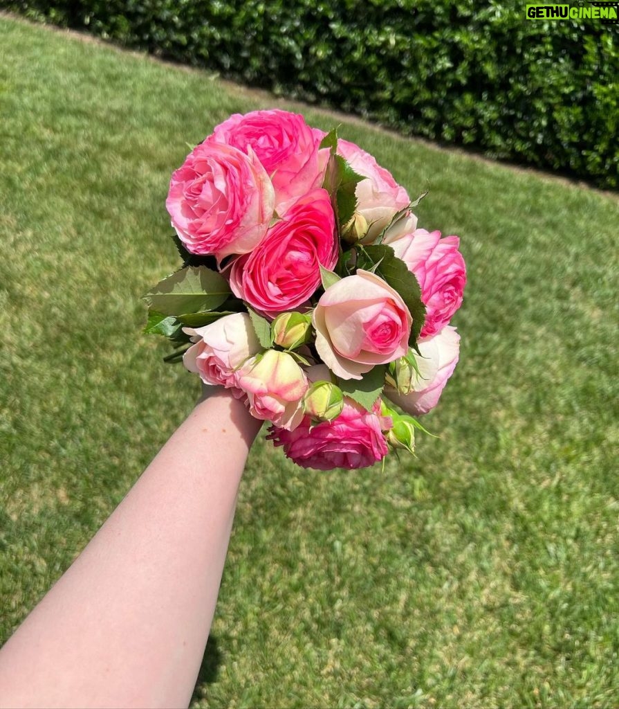 Kat Dennings Instagram - just call me petal paws