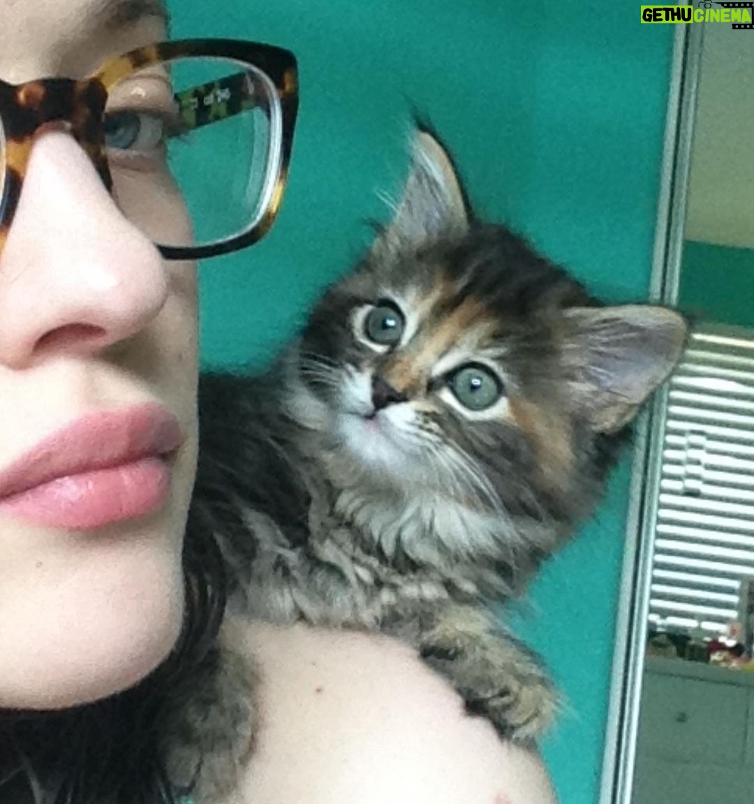 Kat Dennings Instagram - MY BABY IS 🥓🔟 🥓 and she still enjoys all her hobbies such as peeing and barfing