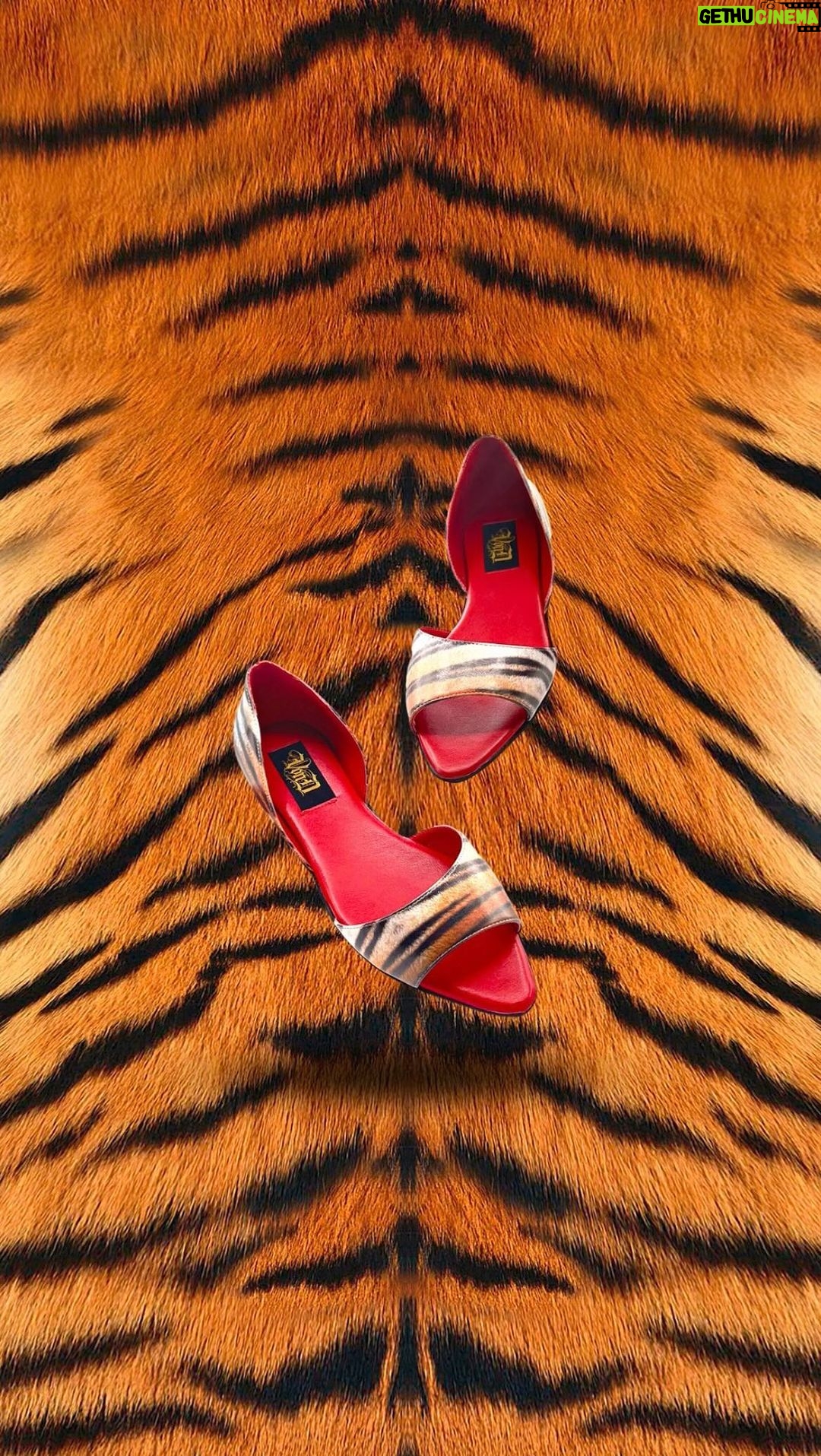 Kat Von D Instagram - THE NEW @VONDSHOES LIZZY FLATS ARE HERE!! ๐๐๐ These limited edition flats are the comfiest, most cushiony #vegan flats Iโve ever worn, and are a true comfort wide fit! BUT BE WARNED!! Sizes are almost sold out from the presale, so get โem while theyโre hot! ๐ค #vondshoes