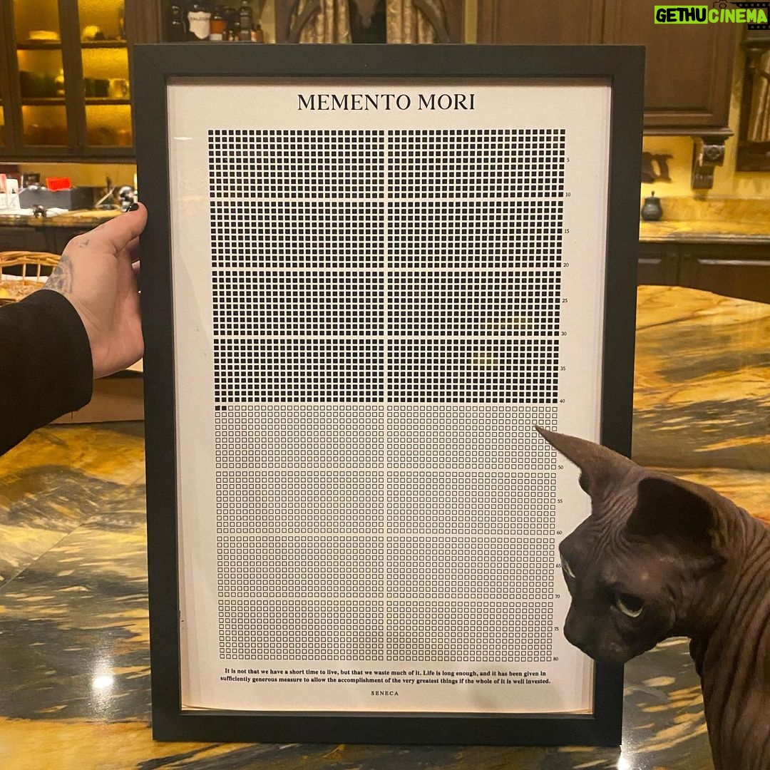 Kat Von D Instagram - ZOOM IN 🖤This is my life broken down into 4160 weeks. Each little box represents one week of life! Something as simple as this life calendar serves as a reminder that life is short and to make the best of each day. Thank you @stoicreflections for this beautiful visualization that each day of life is a gift. “It is not that we have a short time to live, but that we waste much of it.” -Seneca