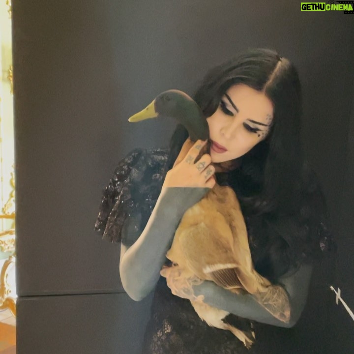 Kat Von D Instagram - Shooting for a special pet portrait project with amazing pet photographer: @charlienunnphotography 🖤🦆 Los Angeles, California
