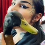 Kat Von D Instagram - I’m so in love with our ducks.❤️🦆