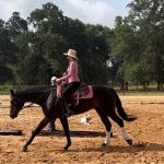 Kate Upton Instagram - My literal heaven 😩💕🐴