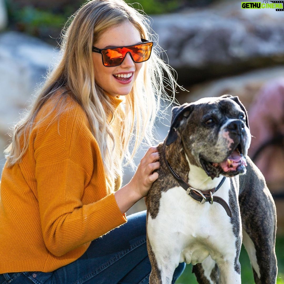 Kate Upton - 79.6K Likes - We’ve been grieving the loss of the heart of our family. Over the past 12 years Harley has been by our side showing us the true meaning of unconditional love and loyalty. Never in one place for long, we were each others’ constants and home. Only old age could tear us apart…but I know he is no longer in pain and looking down on us from above. Once a guardian angel on earth, he is now one in heaven. I will continue to love you every day Harley ❤️ RIP