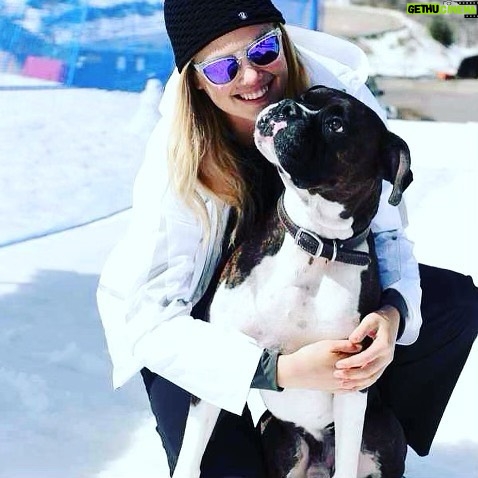 Kate Upton Instagram - We’ve been grieving the loss of the heart of our family. Over the past 12 years Harley has been by our side showing us the true meaning of unconditional love and loyalty. Never in one place for long, we were each others’ constants and home. Only old age could tear us apart…but I know he is no longer in pain and looking down on us from above. Once a guardian angel on earth, he is now one in heaven. I will continue to love you every day Harley ❤️ RIP