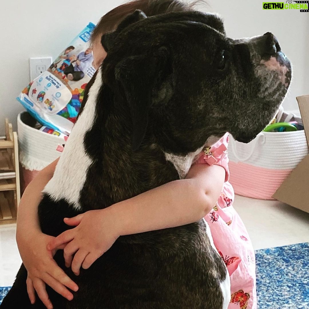 Kate Upton - 79.6K Likes - We’ve been grieving the loss of the heart of our family. Over the past 12 years Harley has been by our side showing us the true meaning of unconditional love and loyalty. Never in one place for long, we were each others’ constants and home. Only old age could tear us apart…but I know he is no longer in pain and looking down on us from above. Once a guardian angel on earth, he is now one in heaven. I will continue to love you every day Harley ❤️ RIP