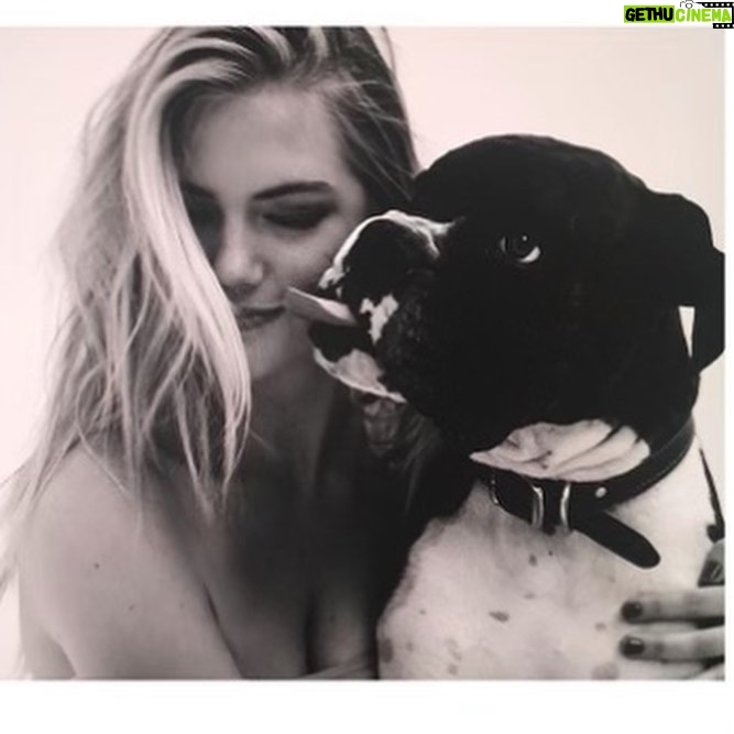 Kate Upton Instagram - We’ve been grieving the loss of the heart of our family. Over the past 12 years Harley has been by our side showing us the true meaning of unconditional love and loyalty. Never in one place for long, we were each others’ constants and home. Only old age could tear us apart…but I know he is no longer in pain and looking down on us from above. Once a guardian angel on earth, he is now one in heaven. I will continue to love you every day Harley ❤️ RIP