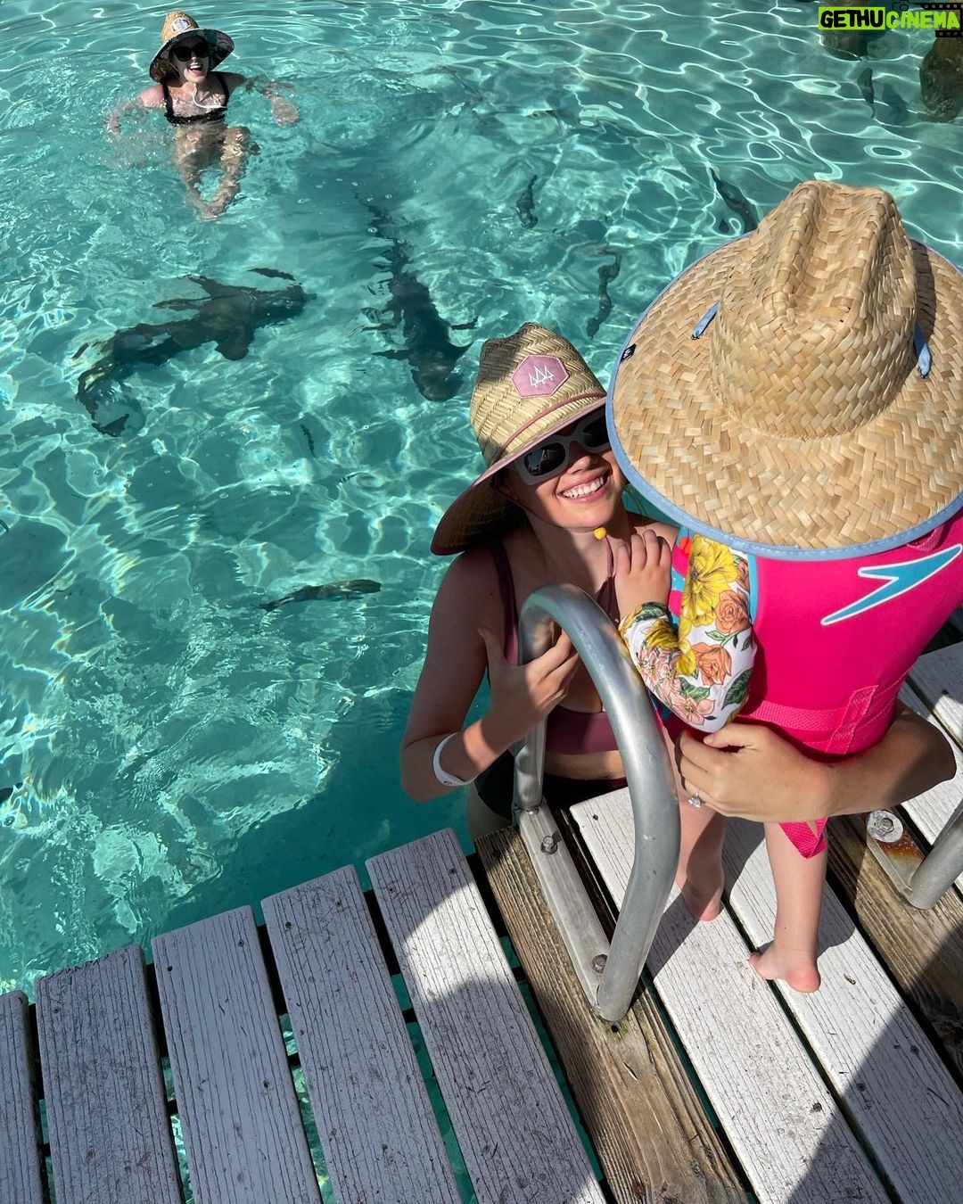 Kate Upton Instagram - Officially crossed swimming with pigs & sharks off Vivi’s bucket list! ...okay maybe she doesn’t have a bucket list. But she was fearless and loved it! 🦈💕