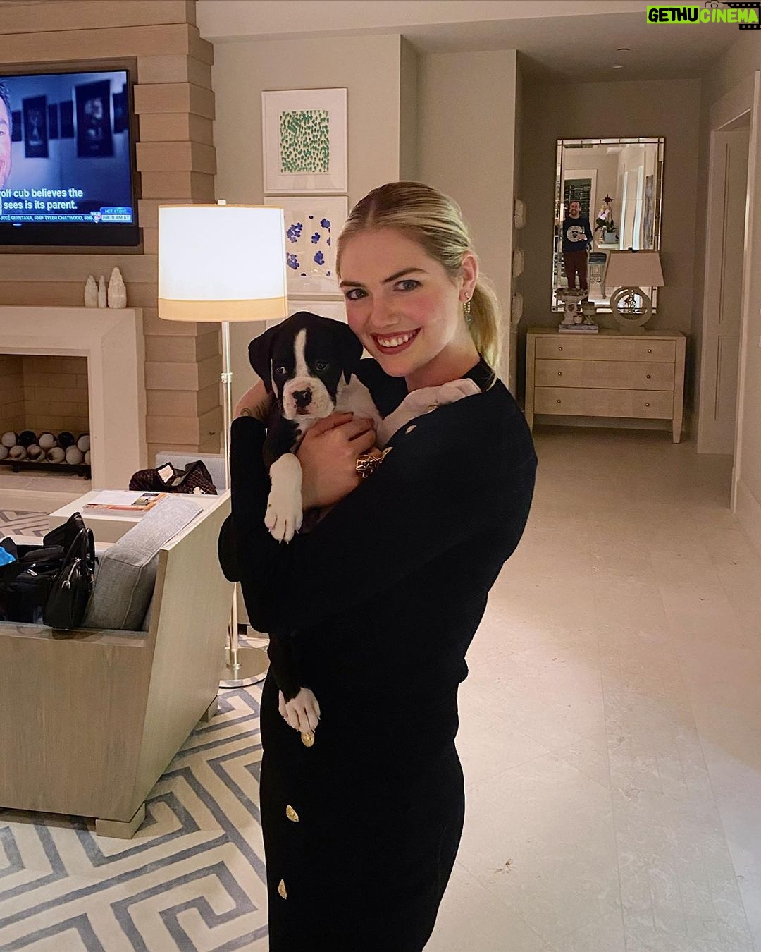 Kate Upton Instagram - Sometimes Norman forgets he’s not a puppy anymore… Swipe to see what I mean 😆🐾 #FBF