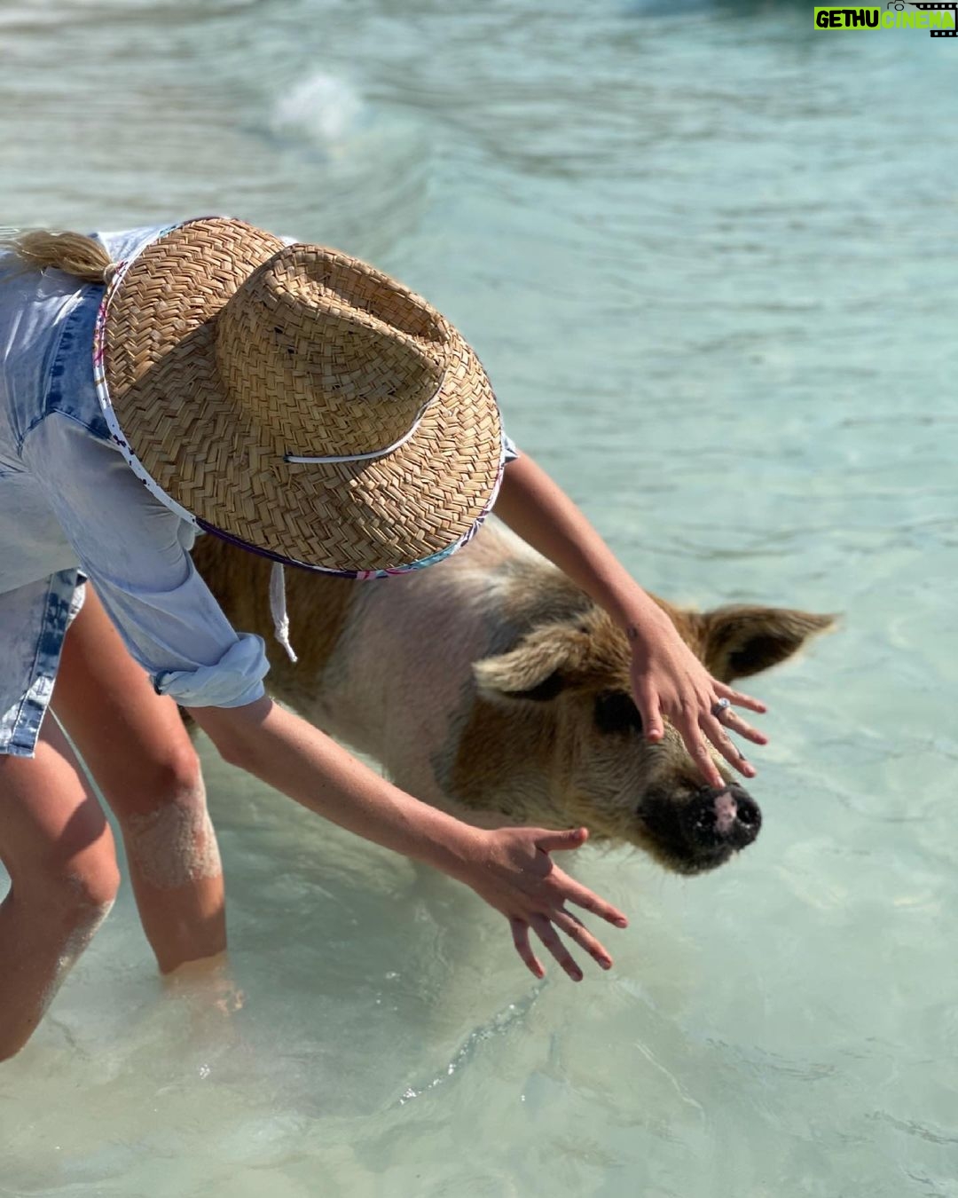 Kate Upton Instagram - I swear I’m good with animals… #FashionVsReality #TBT