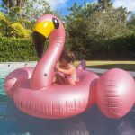 Kate Upton Instagram - The cutest lil flamingo I’ve ever seen 🦩