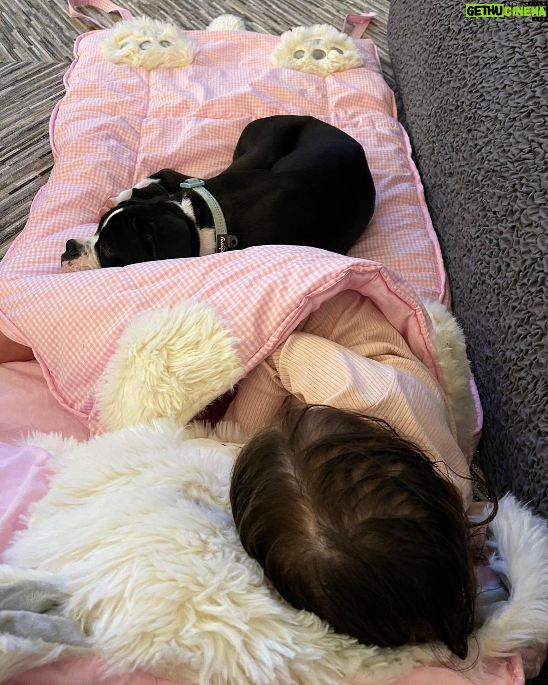 Kate Upton Instagram - Name a cuter nap buddy... I’ll wait. 🥺💕