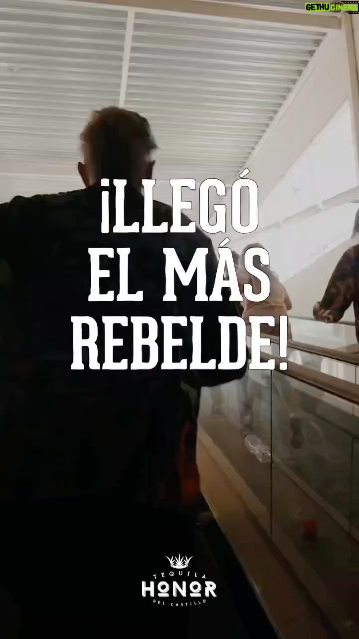 Kate del Castillo Instagram - Síguenos @tequilahonor Sigue explorando nuestras expresiones y elige entre Mezcal Honor y Tequila Honor…o porque no elige los dos!! Encuentra en ellos rebeldía, tranquilidad, diversión, aventura y mucho más. Consiguelos en tu licoreria favorita o Ordénalos en línea ya sea en www.tequilahonor.com o Www.Emiliosbev.com entre otros lugares! Si vives en Mexico o otros países de centro o sudamericana visita nuestro sitio web para ver cómo conseguirlo! …pídelo a donde vayas para que llegue más rápido. Saludos y sigue viviendo con Honor! Follow us @tequilahonor Keep on discovering our expressions and choose between Mezcal Honor and Tequila Honor... or why not drink both!! Find in them rebellion, tranquility, fun, adventure, and much more. Get them at your favorite liquor store or order them online either at www.tequilahonor.com or www.Emiliosbev.com, among others places! If you live in Mexico or other Central or South American countries, visit our website to see how to get them!…ask for it wherever you go in order to get it in your favorite location faster Cheers and keep living with Honor! #MezcalHonor #MezcalLovers #mezcal #mezcalhonor #cocktail #DestiladoMexicano #EstadosUnidos #guerrero #tequilacocktail #cocktailtime #weekend #mezcalcocktail #tequilahonor #viveconhonor #tequila #honor #honorisinyourhands #livewithhonor #mexico #cupeatra #tequilatime #tequilanight #mexicancocktails #tequilalover #tequilamexicano #margaritas #usa #mezcaltime #katedelcastillo @tequilahonor @katedelcastillo
