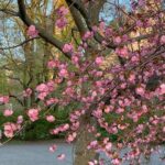 Katie Couric Instagram - Happy first day of spring! 🌷☀️🫶