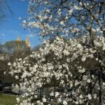 Katie Couric Instagram - Happy first day of spring! 🌷☀️🫶