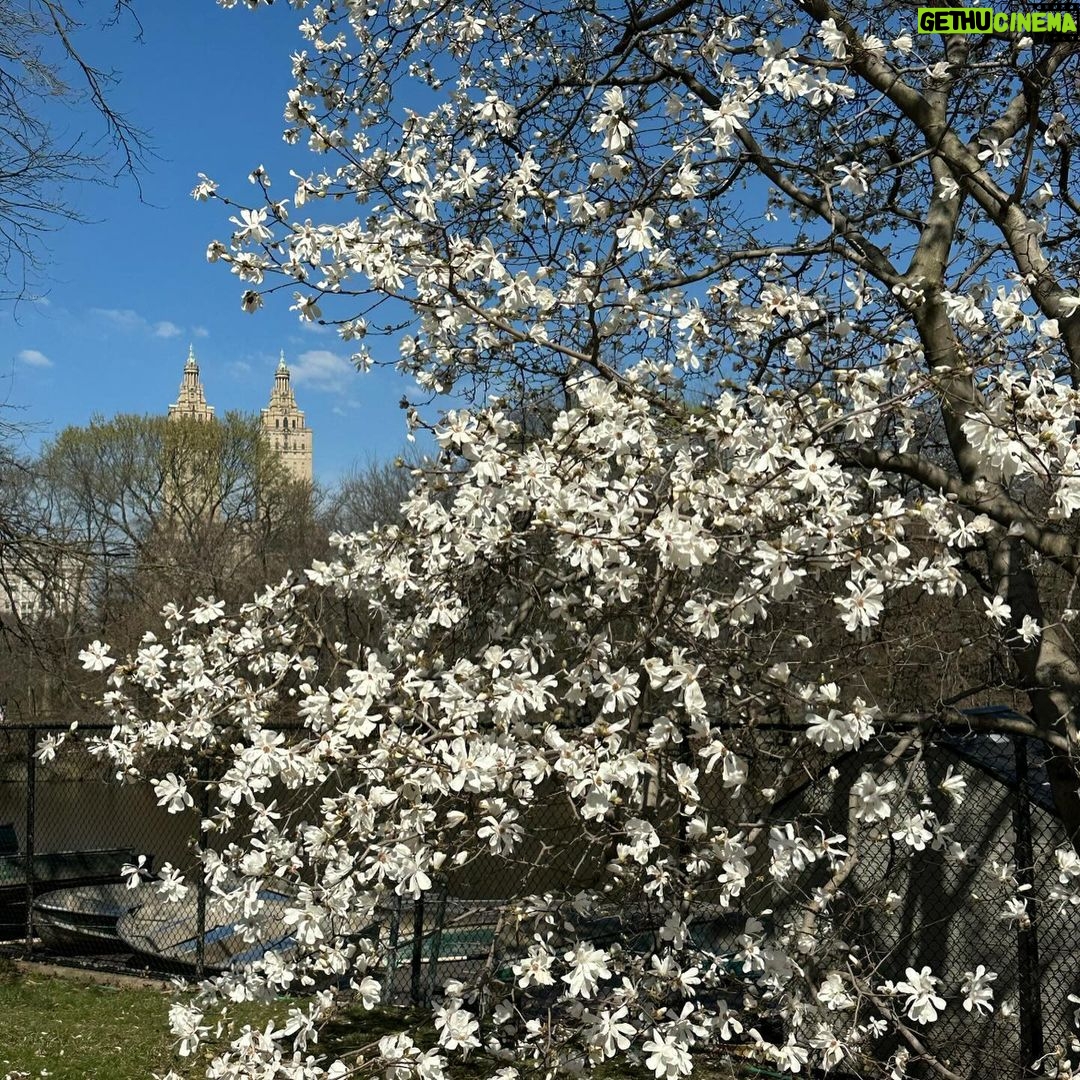 Katie Couric Instagram - Happy first day of spring! 🌷☀️🫶