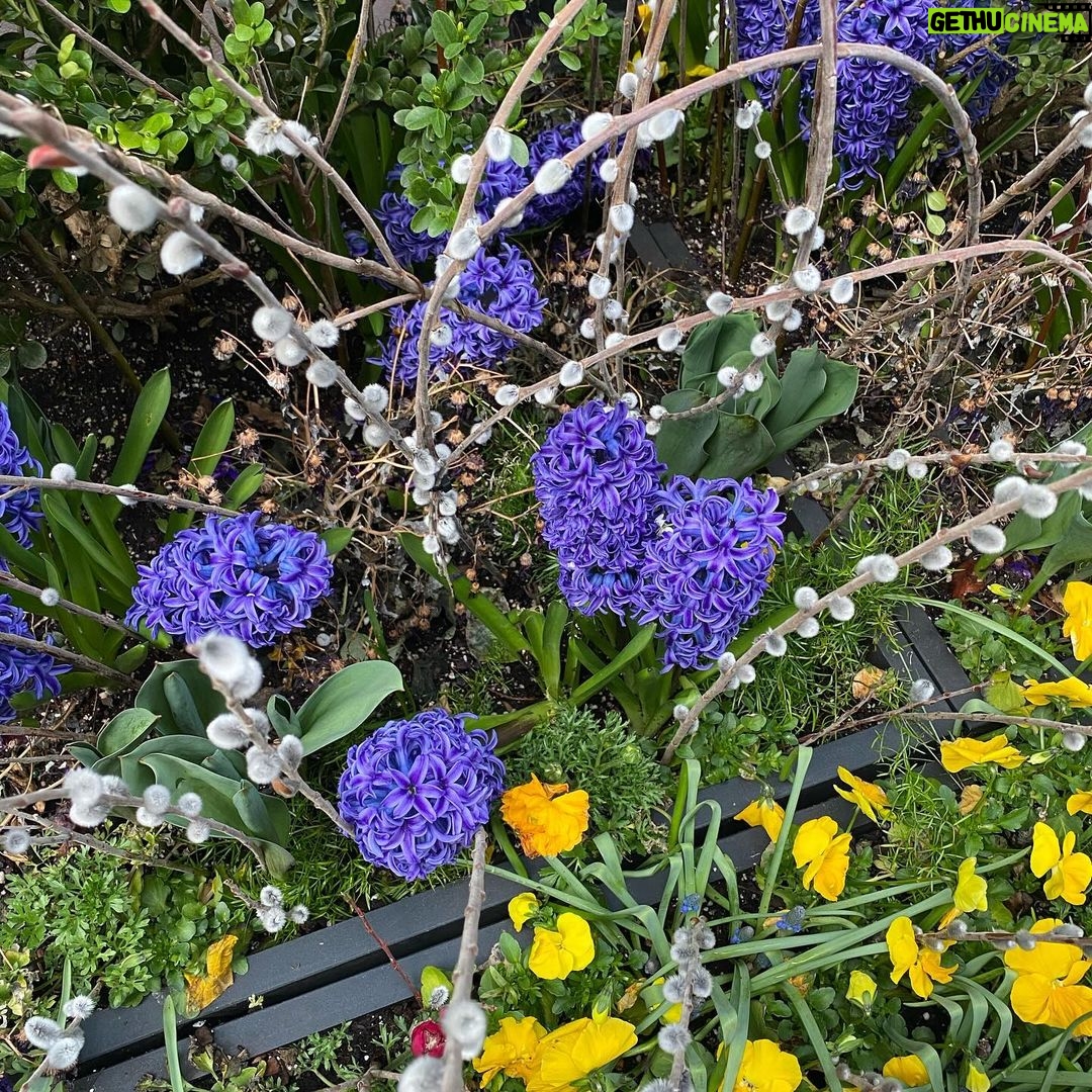 Katie Couric Instagram - Happy first day of spring! 🌷☀️🫶