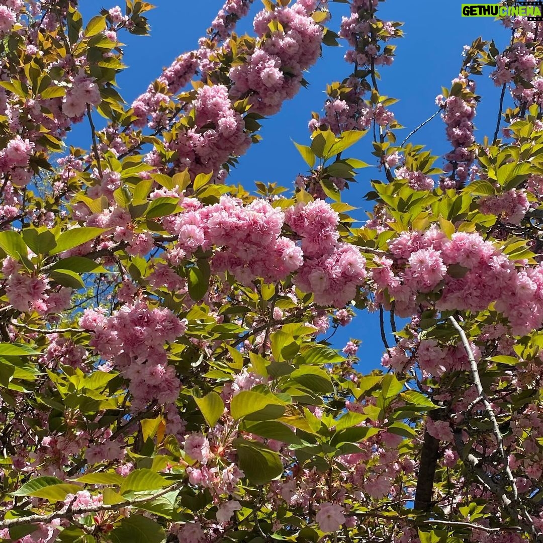 Katie Couric Instagram - Happy first day of spring! 🌷☀️🫶