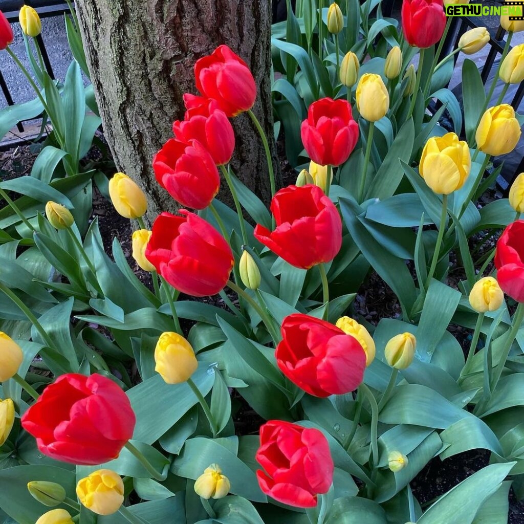 Katie Couric Instagram - Happy first day of spring! 🌷☀️🫶
