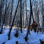 Katsamonnat Namwirote Instagram – You are not alone , You are the cherry on top 🍒🌲 Furano, Hokkaido