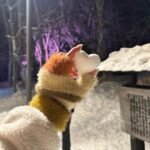 Katsamonnat Namwirote Instagram – Do you wanna build a snowman?
Come on let’s go and play ☃️❄️✨
น้องเห็นไอติม 8 ชั้น ตาลุกวาวเลยอ่าาาา
(I’m a teddy bear not bunny anymore🧸) Otaru Hokkaido, Japan 小樽市