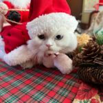 Katsamonnat Namwirote Instagram - Don’t cry, snowman, not in front of me ☃️ Who’ll catch your tears if you can’t catch me, darling?
