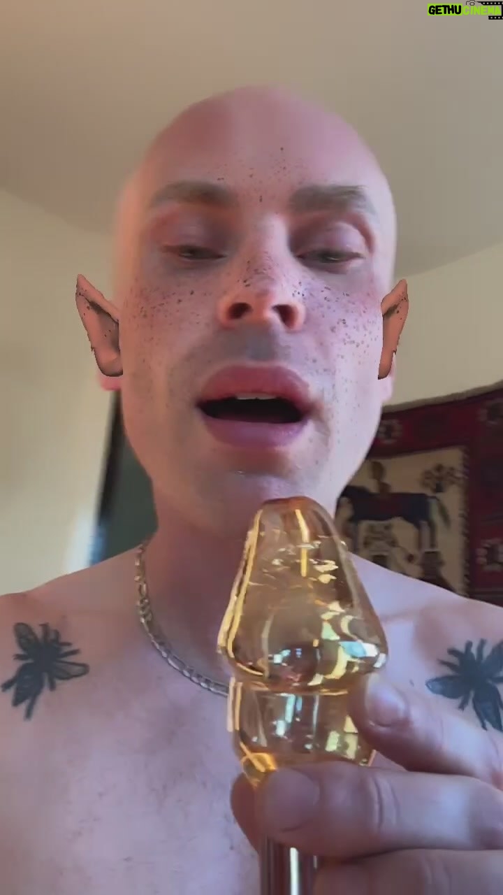 Katya Zamolodchikova Instagram - Puisque vous partez en voyage