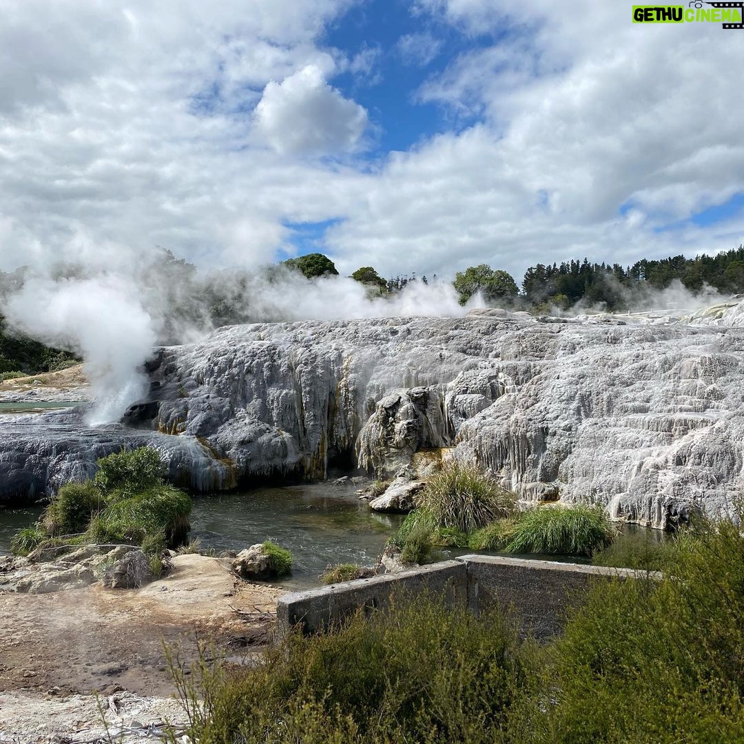 Kaya Scodelario - 336.3K Likes - We’ve been exploring more of beautiful New Zealand the last few weeks. From Volcanic beach’s to Geysers. Truly amazing place 💜🪴
