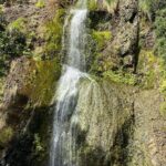 Kaya Scodelario Instagram – Exploring New Zealand’s beautiful west coast. – inserts inspirational Chasing Waterfalls quote-  Nah don’t worry I won’t. Piha, Auckland – NZ