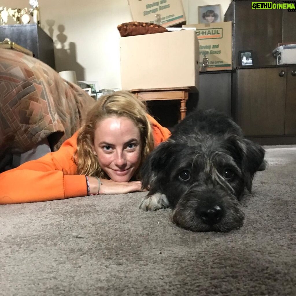 Kaya Scodelario Instagram - Throwback to when my hair was bleached to within an inch of its life and I got to work with this fluffy legend, Mr ChooChoo , on Crawl. If like me you’ve run out of everything to watch this year it’s on Prime. SPOILER ALERT: the dog survives so pls don’t shout at me