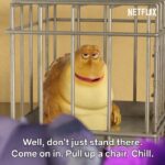 Keith Urban Instagram - when I was a kid, I wrote my bucket list and at the very top was “ONE DAY, I WANNA BE A SINGING TOAD.” I mean, what are the odds ?!!! Meet Doug in #BackToTheOutback, streaming on @netflix