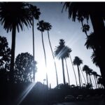 Kelly Rohrbach Instagram –