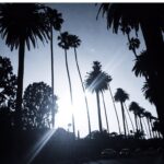 Kelly Rohrbach Instagram -