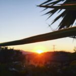 Kelly Rohrbach Instagram -