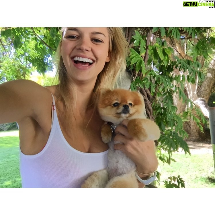 Kelly Rohrbach Instagram - A puppy for Valentine's Day 😍?!?!?! Omg baby you like totally shouldn't have!! #psychhhh #iwish