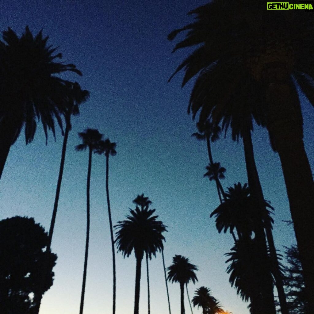 Kelly Rohrbach Instagram - my favorite 😍 #LA