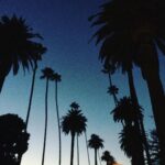 Kelly Rohrbach Instagram - my favorite 😍 #LA