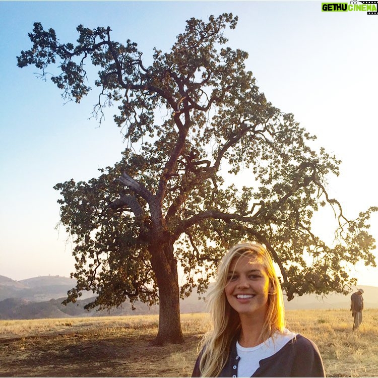 Kelly Rohrbach Instagram - all about that #treelife Los Angeles, California