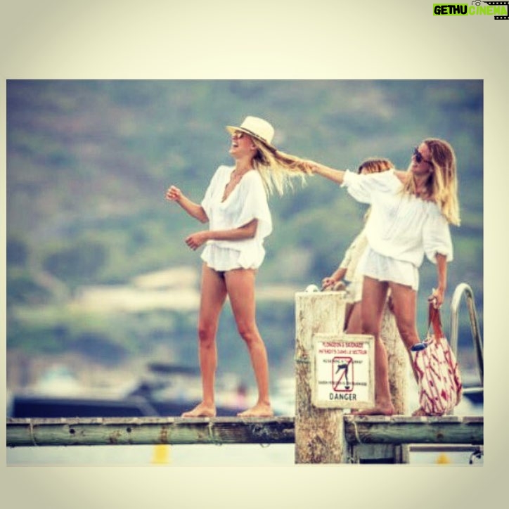 Kelly Rohrbach Instagram - cat fight captured 😸