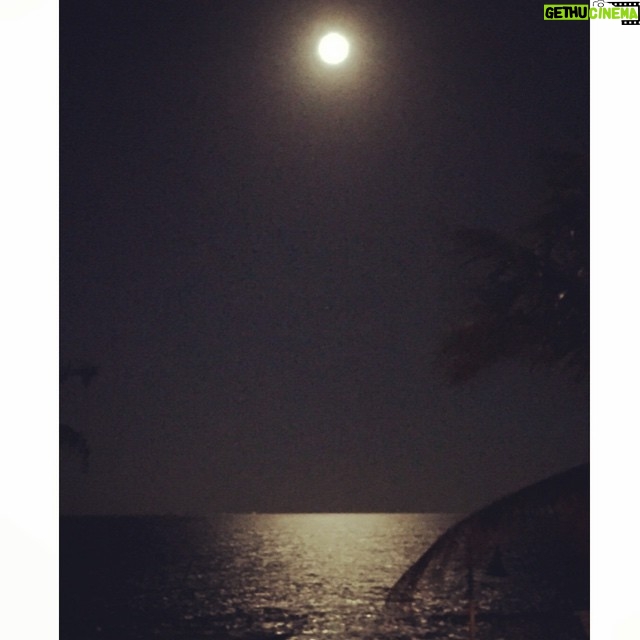 Kelly Rohrbach Instagram - 🌑🌓🌔🌕🌖🌖🌘🌑 full moon party