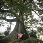 Kelly Rohrbach Instagram - It’s a small world after all! 🌳