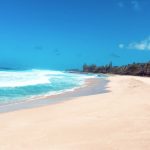Kelly Rohrbach Instagram – My kind of beach! #CastAway2