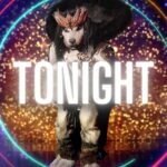 Ken Jeong Instagram - #TheMaskedSinger TONIGHT!!