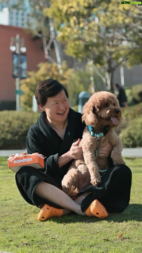 Ken Jeong Instagram - #PopeyesPartner Yep, that’s my dog Mocha in the Popeyes ad. Check out the longer version for some more Mocha!!!