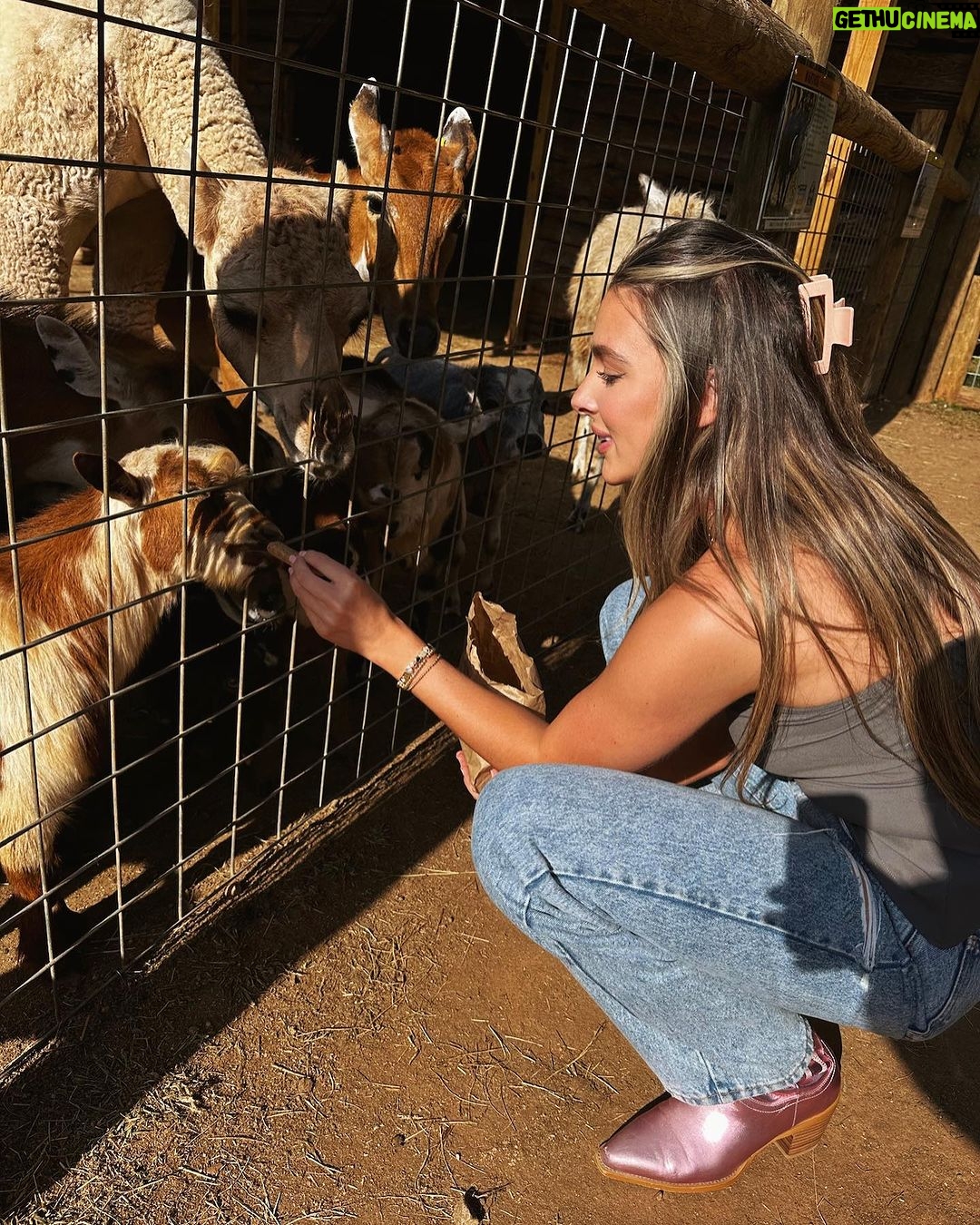 Kendall Vertes Instagram - Snow white and her prince Lake Hartwell Wildlife Safari