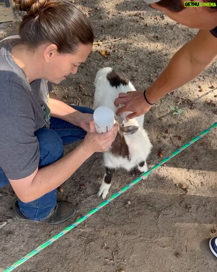 Kendall Vertes Instagram - Snow white and her prince Lake Hartwell Wildlife Safari