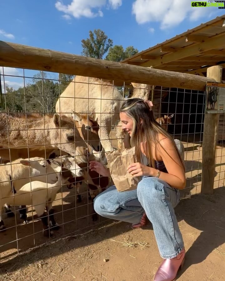 Kendall Vertes Instagram - Snow white and her prince Lake Hartwell Wildlife Safari