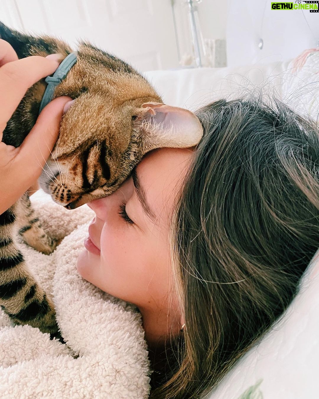 Kendall Vertes Instagram - Morning kiss from Woods🐅