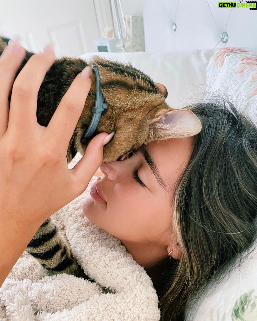 Kendall Vertes Instagram - Morning kiss from Woods🐅